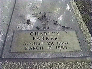 Bird grave